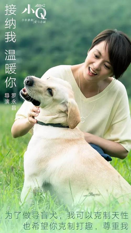 威斯康星大学马拉忪县分校本科成绩单
